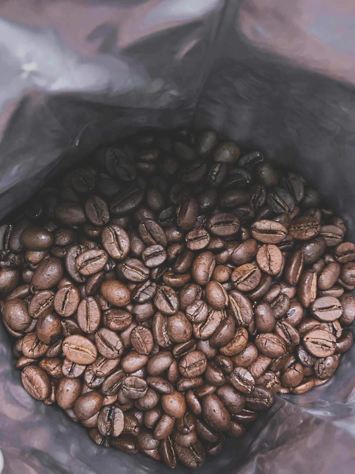 Arabica vs Robusta — Diferențele reale dintre cele două specii