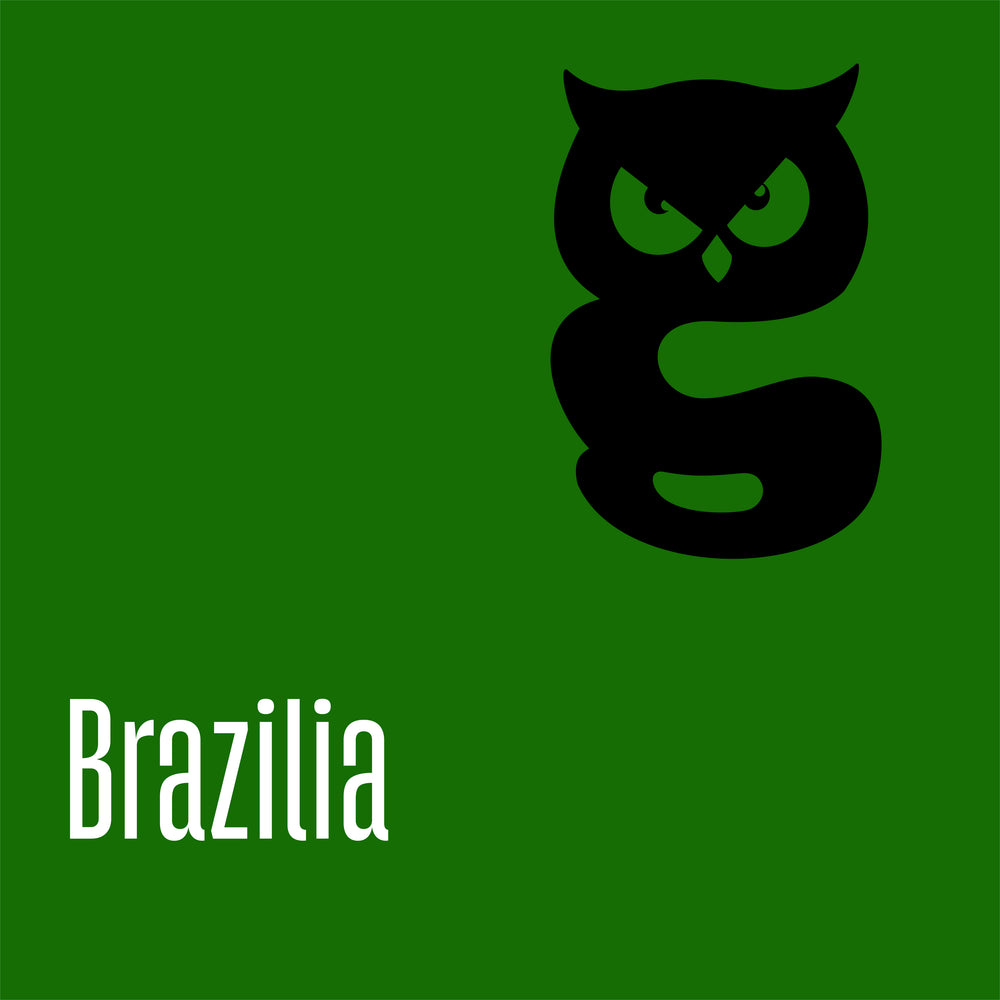 Brazil Sao Francisco da Bela Vista — cafea specialty Incognito Coffee